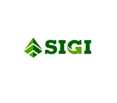 phsigi777.com Logo